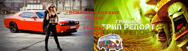 каннабис Абаза