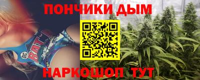 шишки Тверь