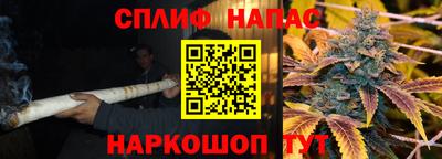 шишки Тверь