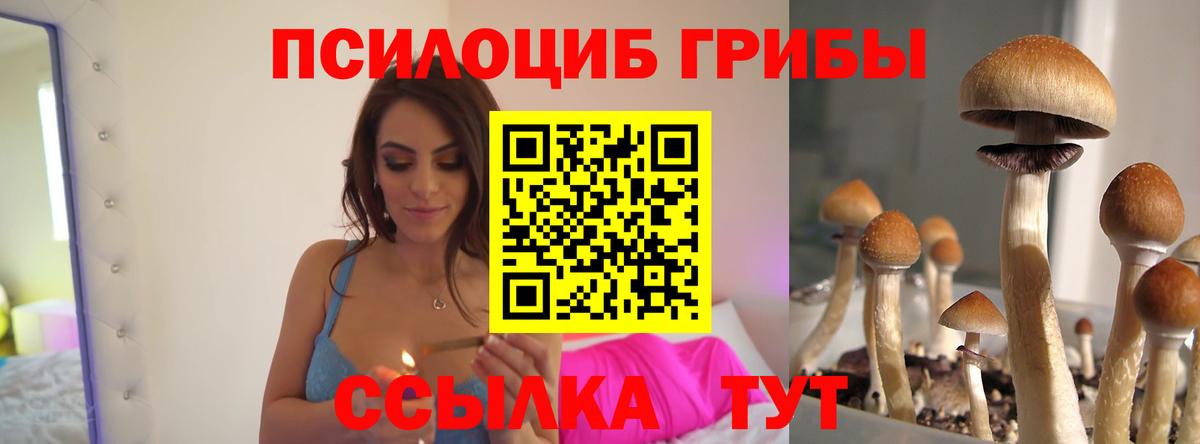 Серпухов  Галлюциногенные грибы GOLDEN TEACHER  Вход с VPN 